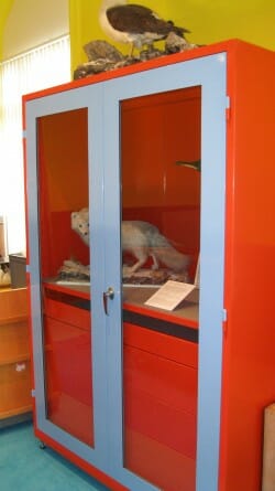 Glass Fronted Artefect Storage