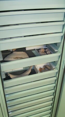 Bolton Museum Egyptology Cabinets