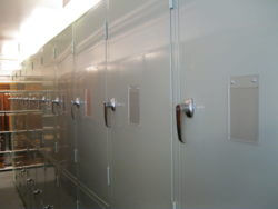 Manchester University Entomology cabinets
