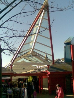 Market Canopy Design