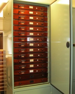entomology cabinets fitted to house the large entomology collection