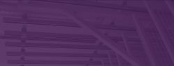 picture racking with purple overlay