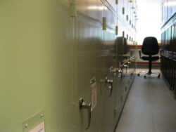 bespoke entomology cabinets